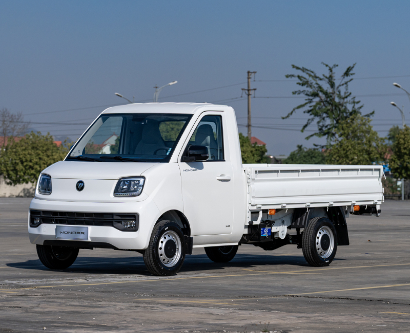 xe tải foton wonder thùng lững
